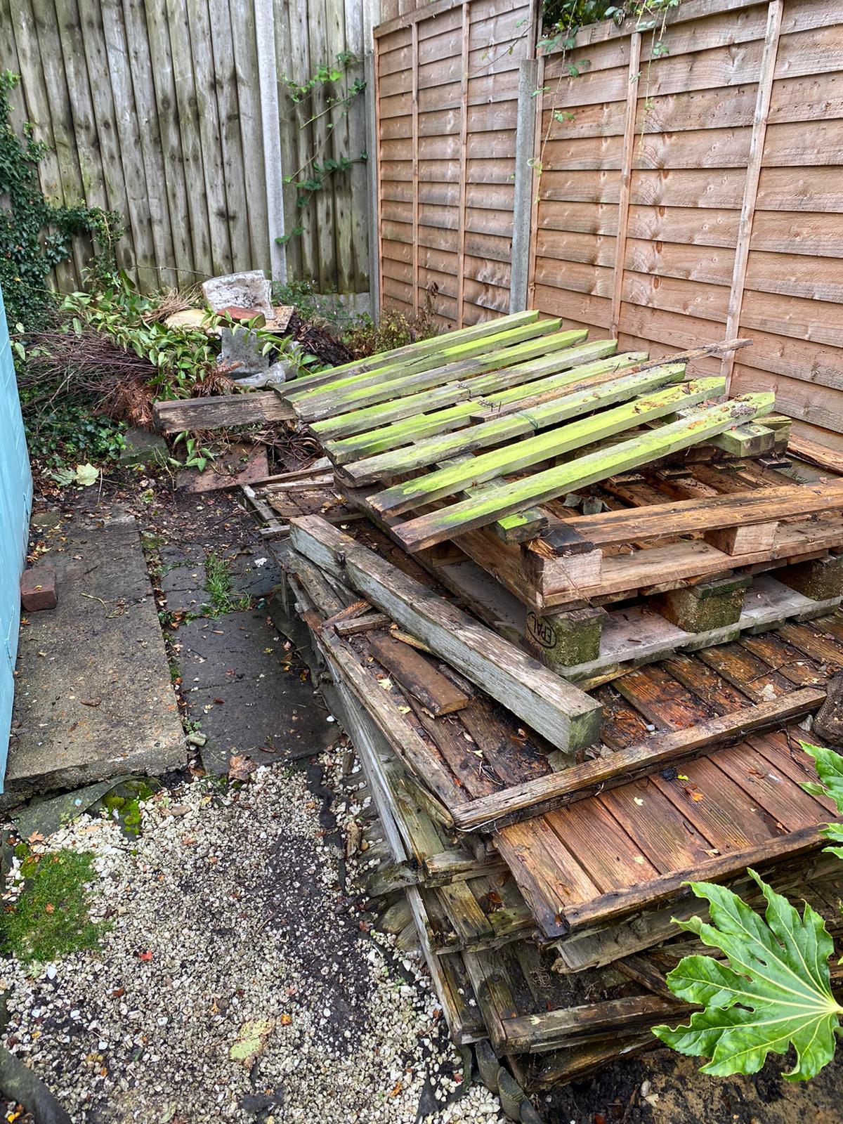 Garden clearance carterham cr3 before