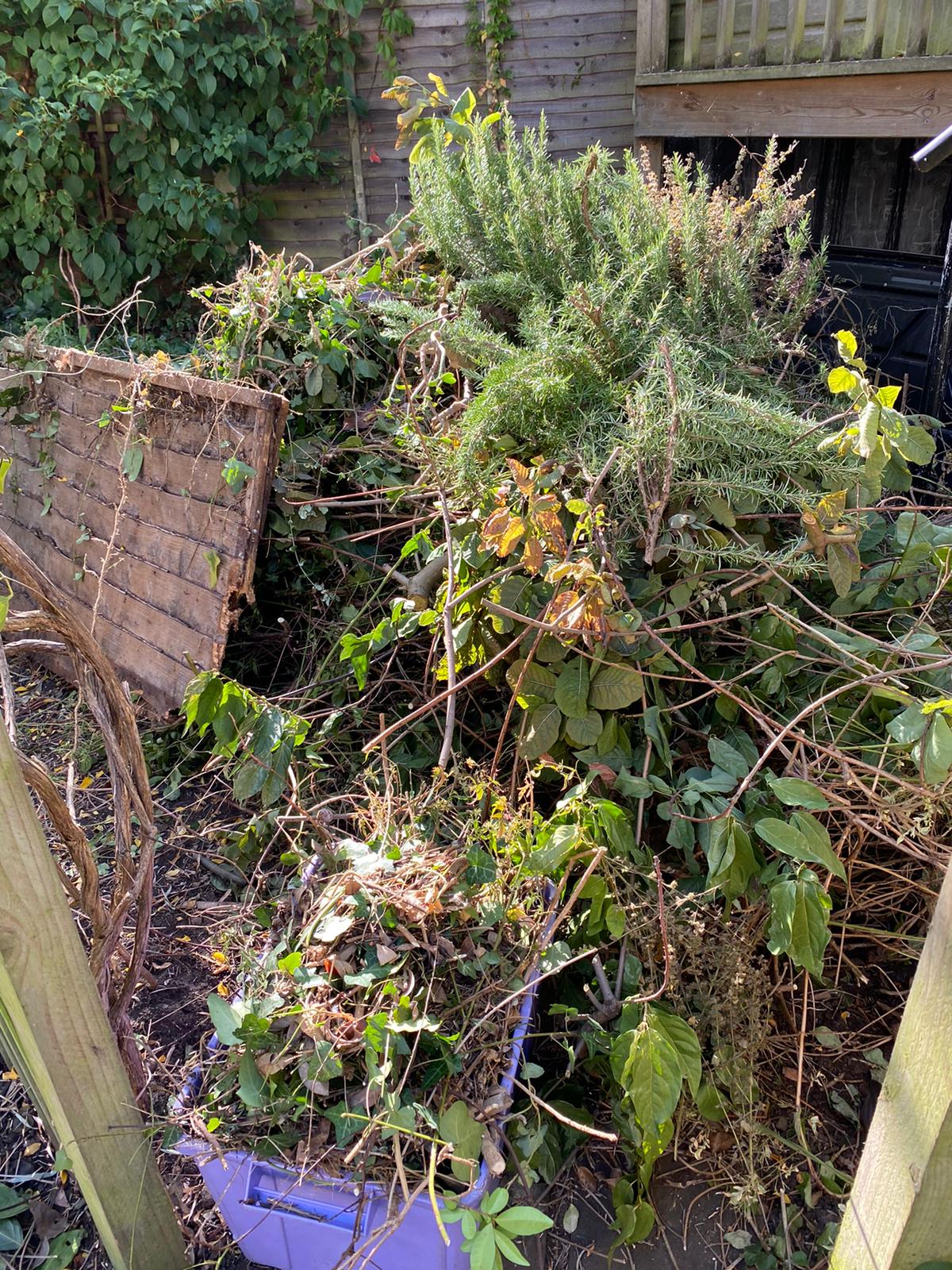 Garden clearance wimbledon sw